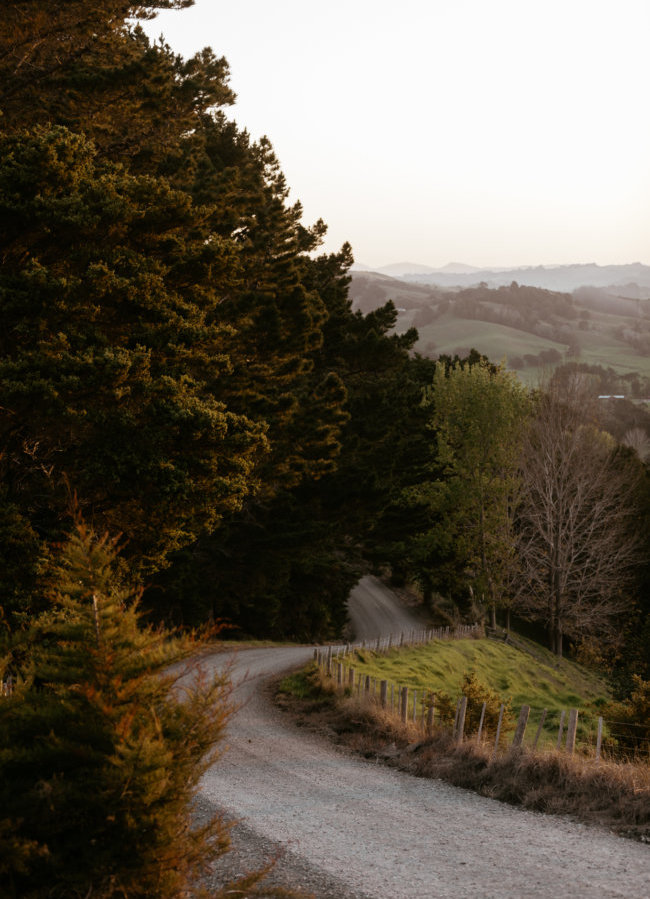 Our Water 1 Gravel road winding through native bush and rolling hills on the Matakana Coast at dusk